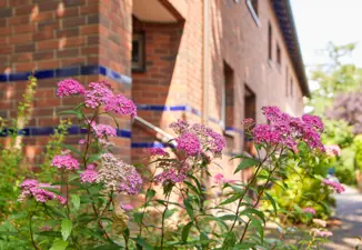 Bild Gästewohnungen